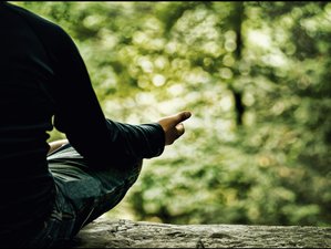 3 Day Silence Retreat: Entering the Threshold of Mystery at Temenos Retreat, McGregor, South Africa