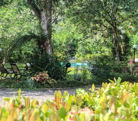 15 Day Full Ayurveda Retreat with Yoga and Meditation in Kalutara, Sri Lanka - Photo 2