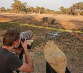 07-Daagse Ontdek Unieke Fotografische Stijlen met de Beste Wildlife Safari in South Luangwa, Zambia - Photo 1