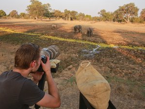 7 Days Exciting Photographic Safari in South Luangwa, Zambia