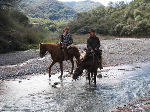 horse riding and camping