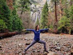 4 Day Nature, Meditation, and Yoga Retreat near Yosemite Valley