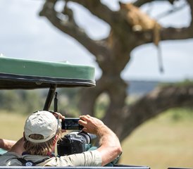 75 Tage Tansania Safari mit Heißluftballon im Tarangire, Serengeti und Ngorongoro Krater, Tansania - Photo 1