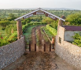 5 Day Masai Mara, Lake Nakuru, and Lake Naivasha Economy Safari Tour in Kenya - Photo 2