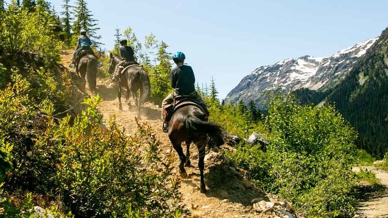 3 Day Gold Mine Mountain Horseback Riding Expedition in Pemberton, British Columbia