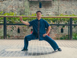 20 hours Online Course Private Class Chen Style Tai Chi 13 Form and Meditation / Qigong