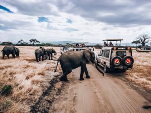 7 Day Perfect Family Tanzania Safari at Tarangire and Serengeti National Parks and Ngorongoro Crater