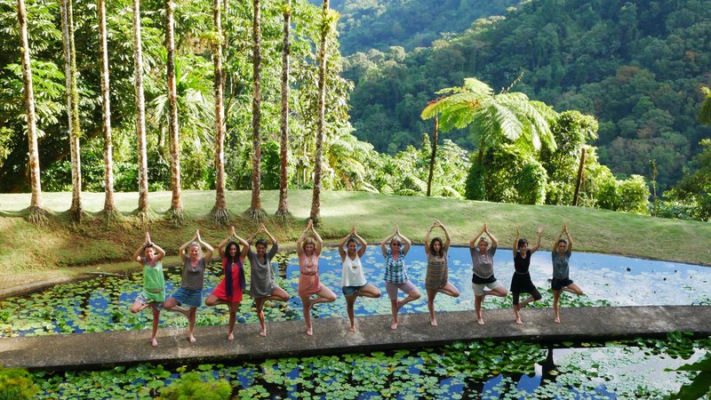 12 jours en circuit de yoga : ashrams et ayurvéda au Kerala, Inde
