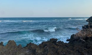 Watamu Retreats und Reisen