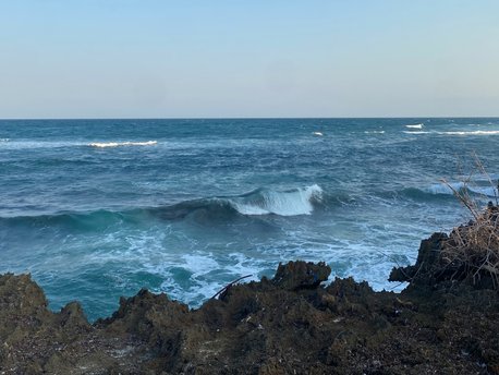 Watamu