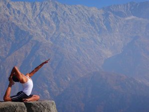 25 Day 200-Hour Multi-Style Yoga Teacher Training in Rishikesh