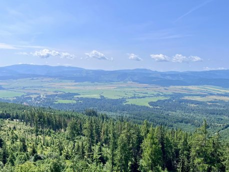 Štrba