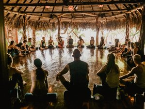 7 Day Exciting Adventure and Relaxing Yoga Retreat in Cambutal, Panama