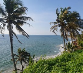 34 Tage 300-Stunden Hatha- und Vinyasa-Yogalehrer Ausbildung in Kerala, Indien - Photo 5