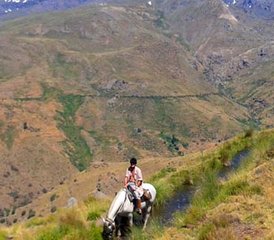 7-Daagse La Alpujarra Paardrijvakantie in Andalusië, Spanje - Photo 3