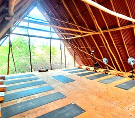 300-Hour Hybrid: Self-Paced Online and 23 Day In-Person Beachfront Yoga Teacher Training in Mexico - Photo 4
