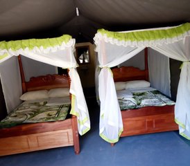 5 jours en stage de safari à petit budget au Kenya - Photo 3