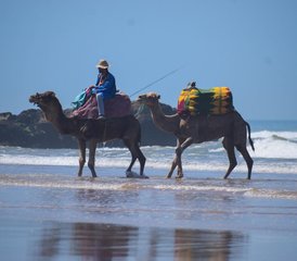 7 jours en stage de surf à Aourir, Maroc - Photo 3