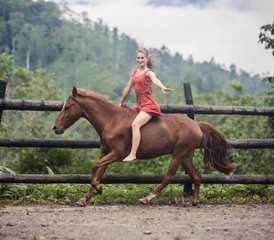 21-Daagse Natural Horsemanship en Klassieke Rijkunst in Tucurrique, Cartago, Costa Rica - Photo 3