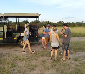 3 Tage Bush Camp Safari im Manyeleti & Kruger Nationalpark, Südafrika - Photo 4