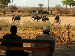 5 Day Southern Region Safari at the Majete Wildlife Reserve and Mulanje Mountain Area in Malawi
