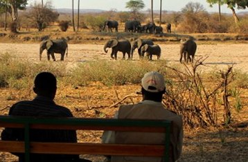 5 Día Safari por la Región sur en la Reserva de Vida Silvestre de Majete y la Zona Montañosa de Mulanje en Malawi