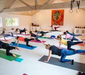 94 días de retiro transformador de bienestar y yoga en Sanskriti Yoga Center, Scionzier, Francia - Photo 1