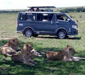 83-Daagse Maasai Mara Kampeersafari in Kenia - Photo 1