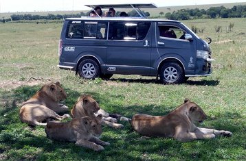 3 Day Maasai Mara Camping Safari in Kenya