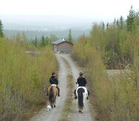 5 Tage Sattel- und Paddel-Reiturlaub in der Schwedischen Lappland, Schweden - Photo 3