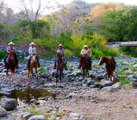 7 Day Hacienda and Cloud Forest Adventure Horse Riding Holiday in Puntarenas, Costa Rica - Photo 4