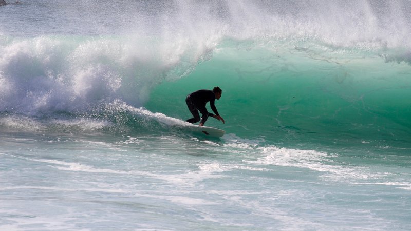 4 Day Surf Camp with Video Coaching, Photos, and Garden BBQ in Newquay, Cornwall, UK