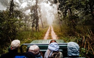 Chitwan Retreats & Trips