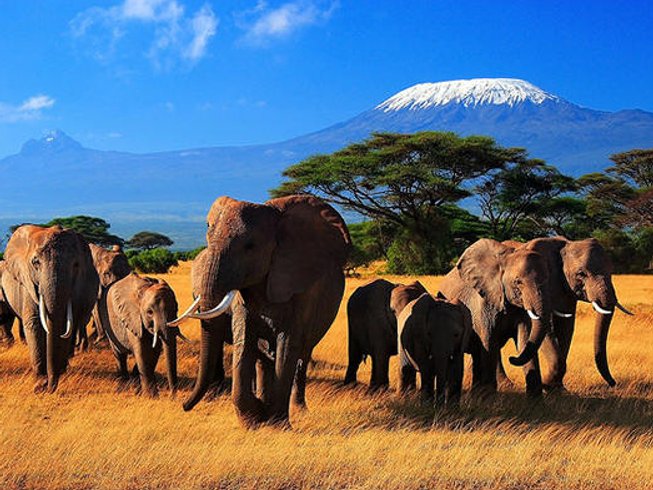 3 Days Kenya Safari to Taita Hills Wildlife Sanctuary & Amboseli ...