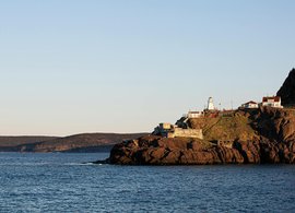 Newfoundland Retreats & Trips