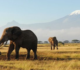 3 Day Experience Wildlife Safari and Explore a Little Paradise of Africa at Maasai Mara - Photo 5