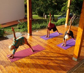 7 jours en retraite de yoga et randonnée anti-stress avec bain de forêt sur l'île d'Elbe - Photo 4