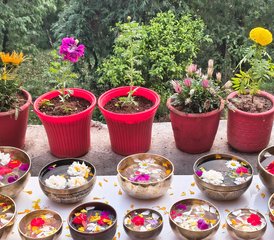 103 Day Sound Healing with Yoga and Meditation Retreat in Dharamshala, Himachal, India - Photo 1