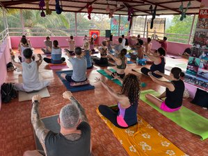 29 jours en formation de professeur de yoga multi-style 300h à Arambol, Nord de Goa, Inde