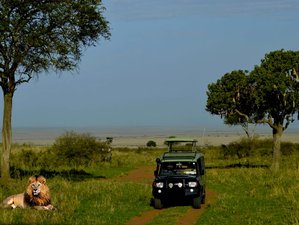 4 Day Masai Mara and Naboisho Safari Tour in Kenya