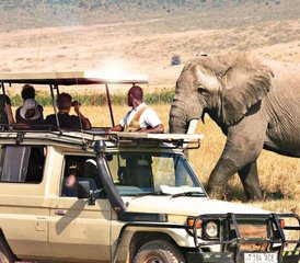 5 Tage Best of Lake Manyara, Ngorongoro und Tarangire Camping-Safari in Tansania - Photo 2