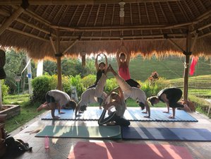 7 Day Village Cultural and Beginner Yoga in Tabanan, Bali