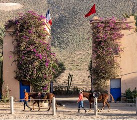 8 Tage Einsteigertraining im Distanzreiten und Ranchurlaub in Sidi Boulfdail, Marokko - Photo 5
