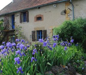 4 jours en stage de yoga et cheval au centre de la France - Photo 5