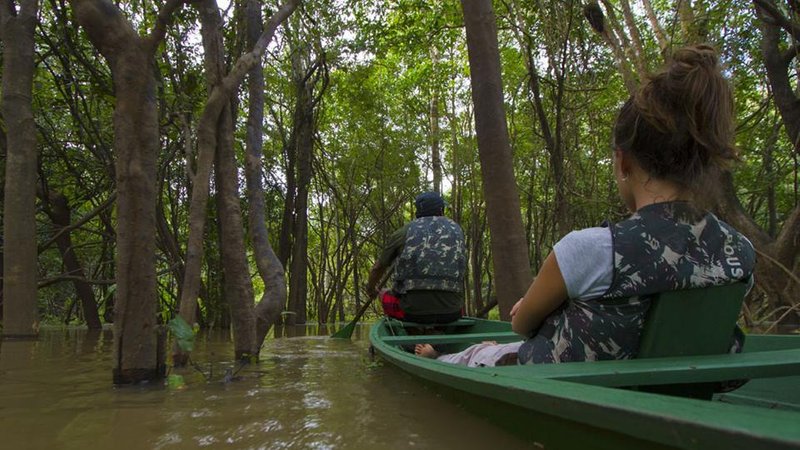 5 Day Jaguar Expedition Wildlife Tour in Mamirauá Sustainable Development Reserve, Brazil