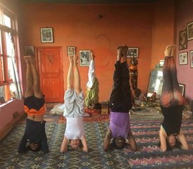 35 jours en formation de professeur de yoga 300h dans un ashram dans l'Himalaya, près de Dharamshala, Inde - Photo 5