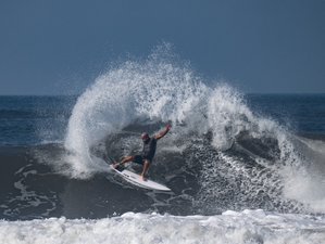 7 Day GREEN WAVE Surf Guiding Camp in Medewi, Bali, Indonesia