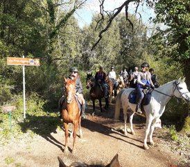 7 Day Horseback Riding Holiday along The Ancient Medieval Road in Siena, Tuscany, Italy - Photo 3
