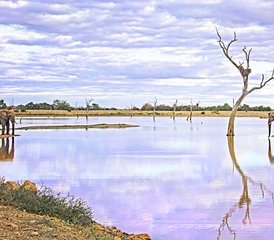 4 Day Awesome Kruger National Park Safari Including Panorama Route in South Africa - Photo 2