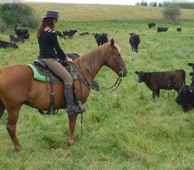 7 Tage Broncobuster Paket Geführter Trail Reiturlaub in Rossburn, Manitoba, Kanada - Photo 5